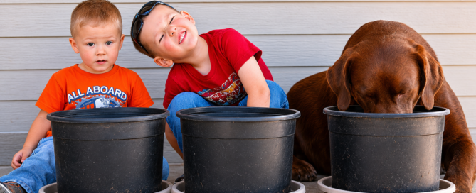 Two young boys sitting beside Bear the chocolate Labrador with flower pots on a porch in Flagstaff Arizona, inspiration behind Bear Hug Plumbing.