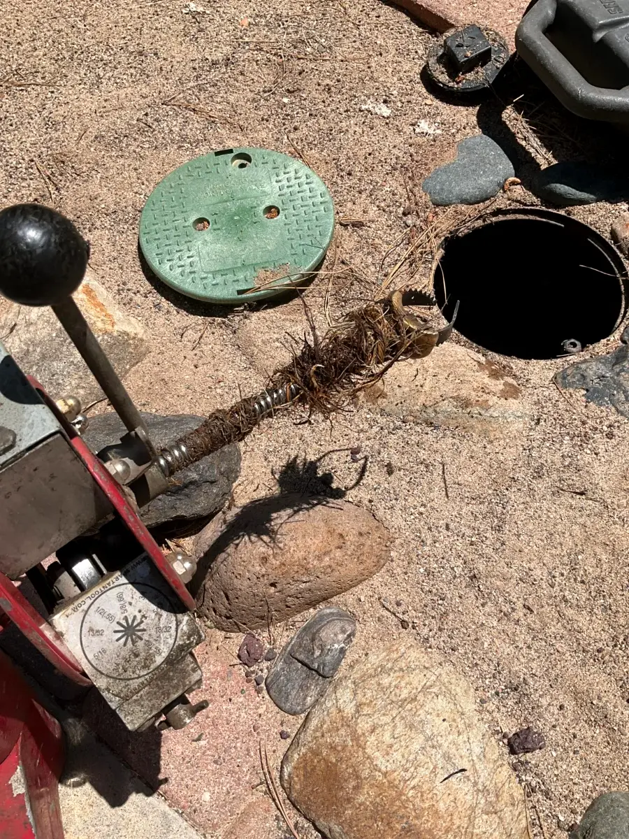 Drain cleaning in Flagstaff: tree roots pulled from a sewer cleanout Bear Hug Plumbing drain cable machine with tree roots pulled from a yard sewer cleanout in Flagstaff, AZ